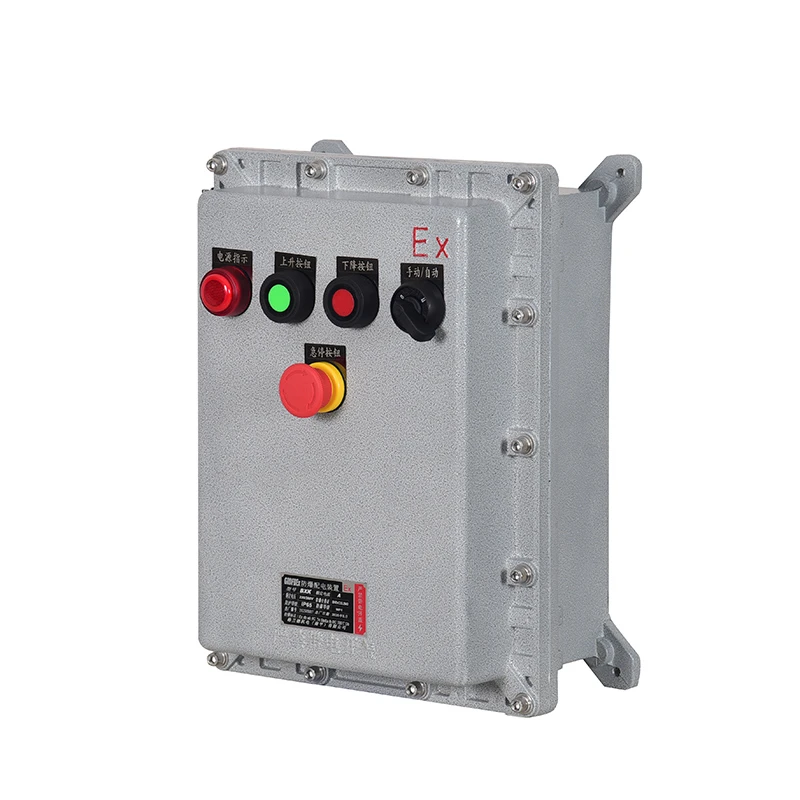 Flameproof Variable Frequency Control Box